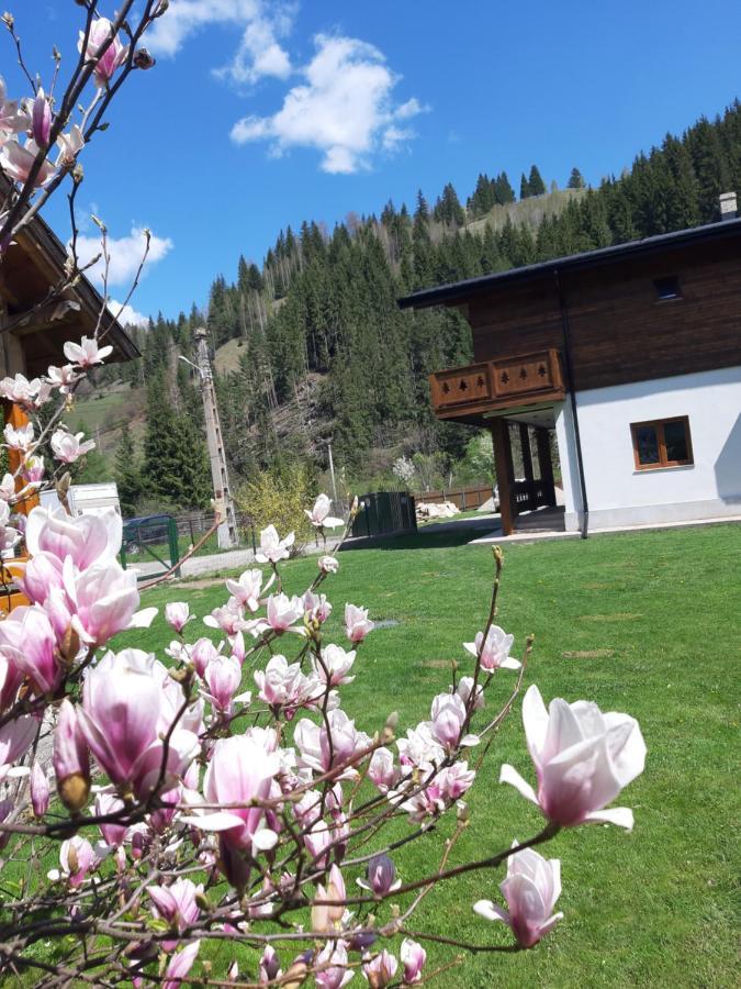 Chalet Mugure De Brad Fundu Moldovei Esterno foto