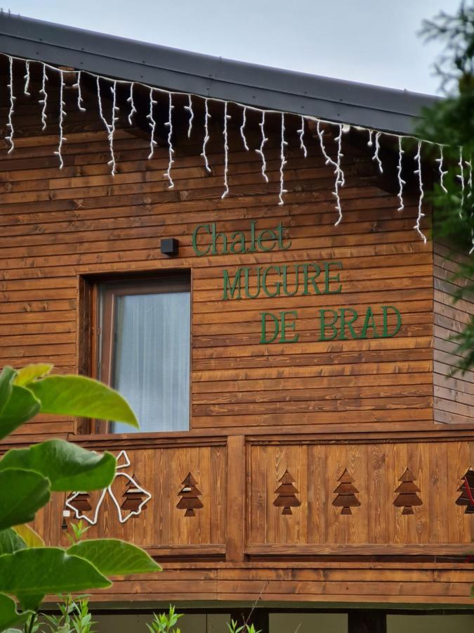 Chalet Mugure De Brad Fundu Moldovei Esterno foto
